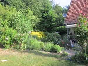 Blick auf Haus und Wald 