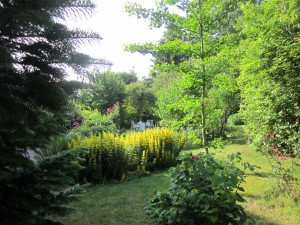 Blick vom Seiteneingang in den Garten 