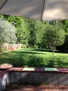 Blick von der zweiten Terrasse in den Garten