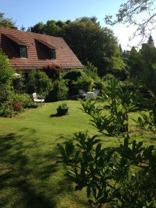 ... der Garten ist pflegeleichter geworden ...