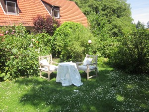 .. jeder Garten braucht immer mal wieder Veränderungen .... wir haben uns vom Teich verabschiedet ...